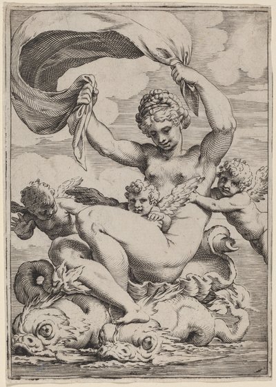 Venere o Galatea sostenuta dai delfini da Agostino Carracci