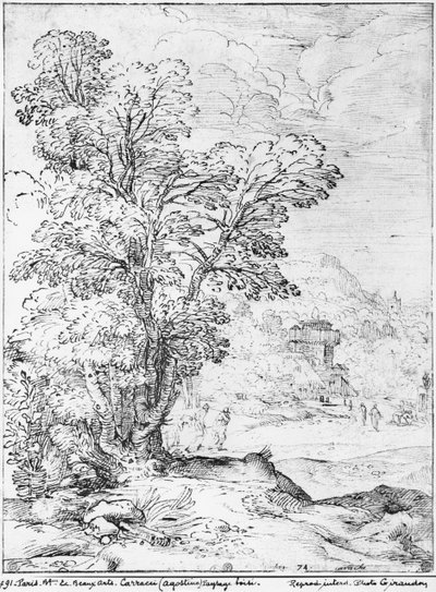 Paesaggio boscoso da Agostino Carracci