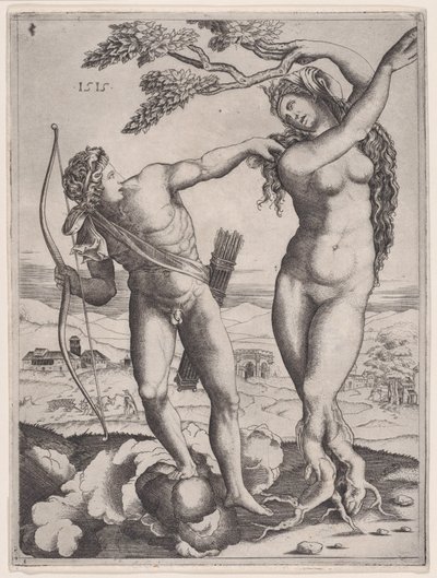 Apollo e Dafne da Agostino Veneziano