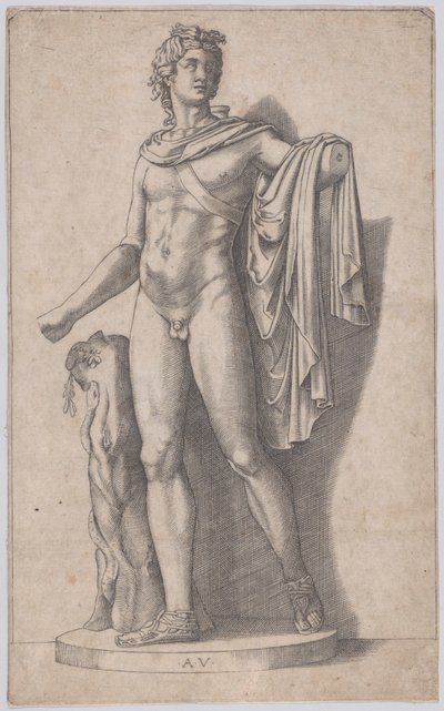 Apollo, ca. 1514-36 da Agostino Veneziano