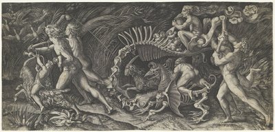 La carcassa da Agostino Veneziano