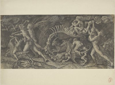 La carcassa, Lo stregozzo da Agostino Veneziano