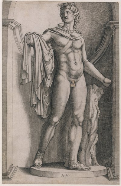 Speculum Romanae Magnificentiae: Apollo del Belvedere, ca. 1514-36 da Agostino Veneziano