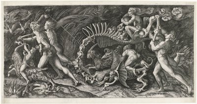 La carcassa da Agostino Veneziano