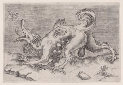 Il drago e l