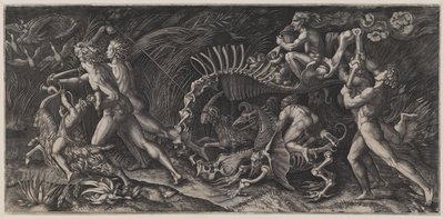 La carcassa ("Lo Stregozzo") da Agostino Veneziano