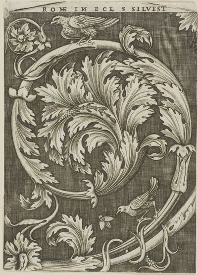 Ornamento fogliare da antica chiesa romana da Agostino dei Musi