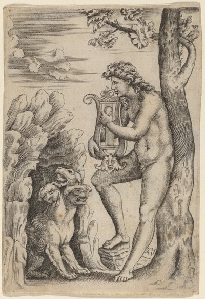 Orfeo da Agostino dei Musi