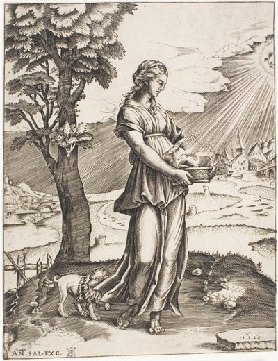 La Sibilla Cumana da Agostino dei Musi