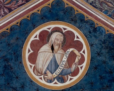 Il profeta Eliseo, dettaglio (affresco) da Agostino di Marsiglio