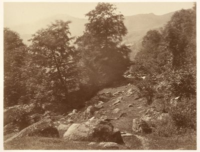 La Vallée du Lys (Coup de Vent) da Aimé Civiale