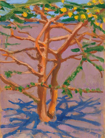 Acacia nella savana da Akseli Gallen-Kallela