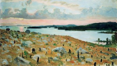 Foresta disboscata sulla riva del lago Kallavesi da Akseli Valdemar Gallen Kallela