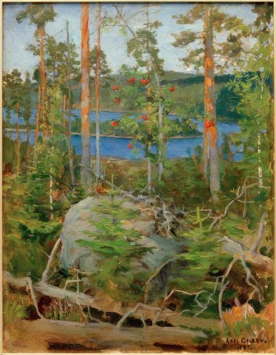 Vista sul lago Jamajärvi da Akseli Valdemar Gallen Kallela