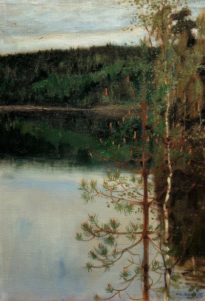 Vista su un lago da Akseli Valdemar Gallen Kallela