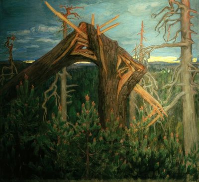 La mascella rotta da Akseli Valdemar Gallen Kallela