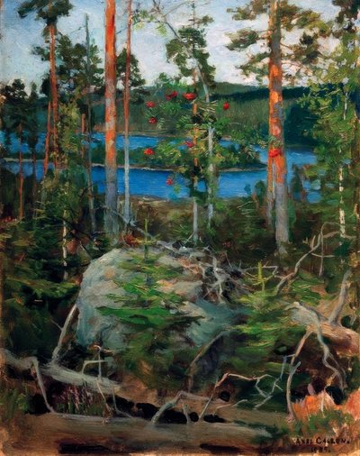 Paesaggio sul lago Jamajärvi da Akseli Valdemar Gallen Kallela
