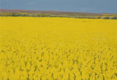 Campo di colza, 2003 da Alan Byrne