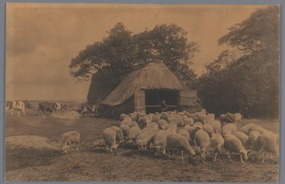 Paesaggio con pecore, mucche, contadino e ovile, Paesi Bassi da Alb. Kapteijn