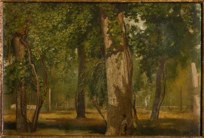 Il bosco da Albano Lugli Carpi