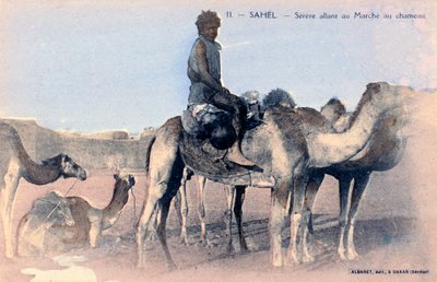 Serere, il Sahel, Senegal da Albaret