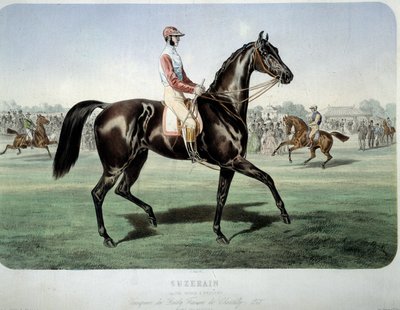 Corsa: Suzerain, vincitore del derby di Chantilly nel 1868 (litografia di Albert Adam) da Albert Adam
