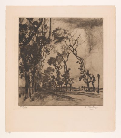 Paesaggio con viale verso Ostenda da Albert Baertsoen (signed by artist)