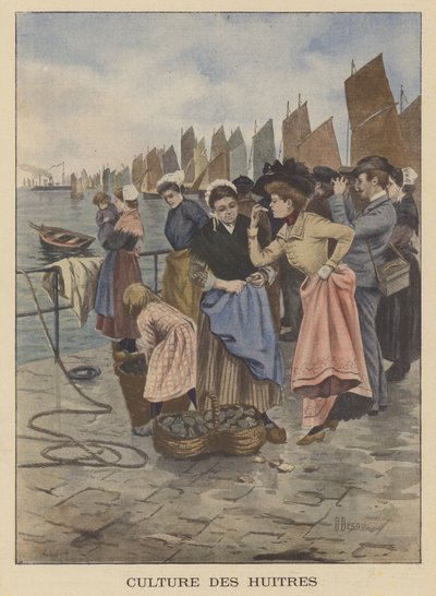 Raccolta di ostriche a Cancale, Bretagna da Albert Besnou
