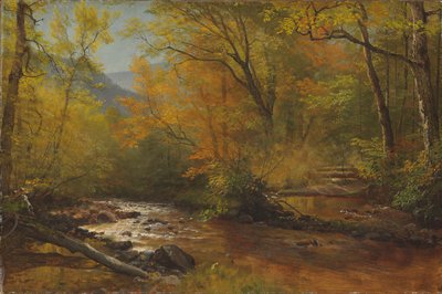 Ruscello nel Bosco da Albert Bierstadt