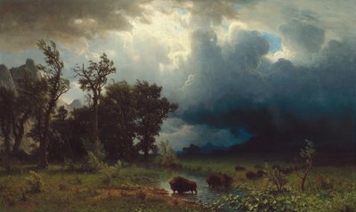 Sentiero dei Bufali: La Tempesta Imminente da Albert Bierstadt
