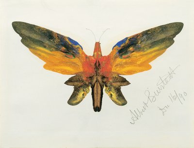 Farfalla da Albert Bierstadt