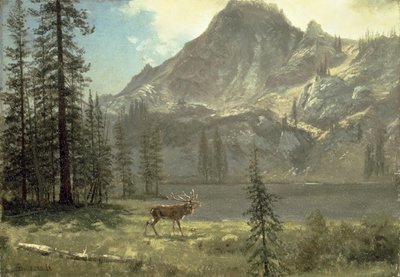 Il richiamo della foresta da Albert Bierstadt