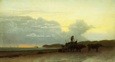 Veduta costiera, Newport, 1861 da Albert Bierstadt