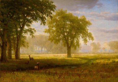 Alce a Oak Grove (Tuolumne Meadows) da Albert Bierstadt