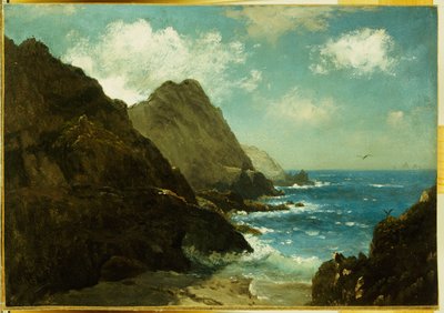 Isole Farallon da Albert Bierstadt