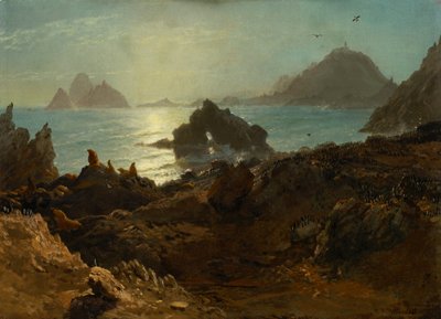 Isole Farallon, Oceano Pacifico, California da Albert Bierstadt