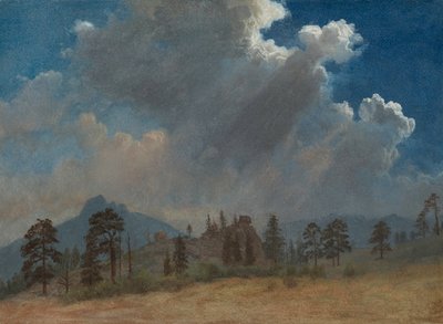 Abeti e Nuvole di Tempesta da Albert Bierstadt