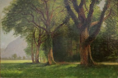 Nella valle dello Yosemite da Albert Bierstadt
