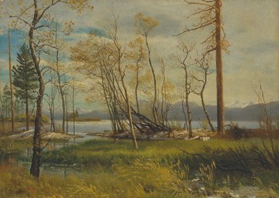 Lago Tahoe da Albert Bierstadt