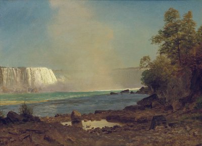 Cascate del Niagara, 1863 da Albert Bierstadt