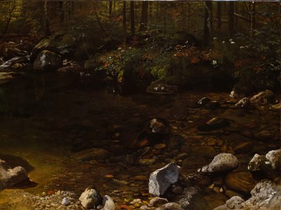 Piscina ombreggiata, Montagne Bianche, New Hampshire, c. 1869 da Albert Bierstadt