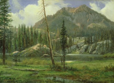 Montagne della Sierra Nevada da Albert Bierstadt