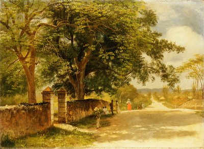 Strada a Nassau, c.1878 da Albert Bierstadt