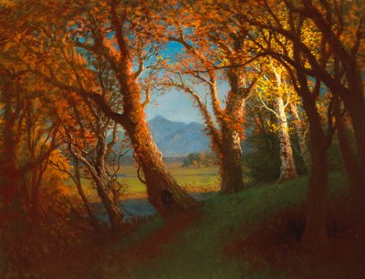 Tramonto nel territorio del Nebraska da Albert Bierstadt