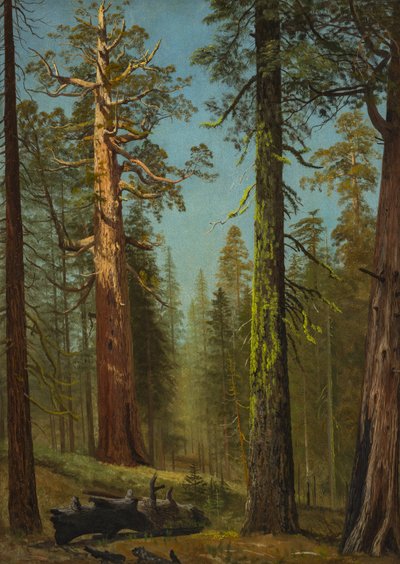  da Albert Bierstadt