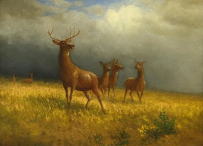 Tre cervi e un cervo" di Albert Bierstadt, 1885 ca. da Albert Bierstadt
