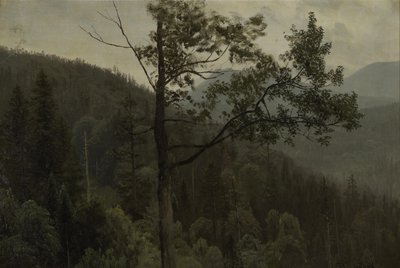 Montagne coperte di alberi da Albert Bierstadt