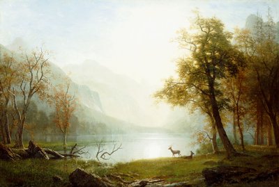 Valle nel King