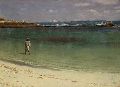 Scena della costa delle Indie occidentali, 1880-93 circa (olio su carta montata su pannello di fibra) da Albert Bierstadt