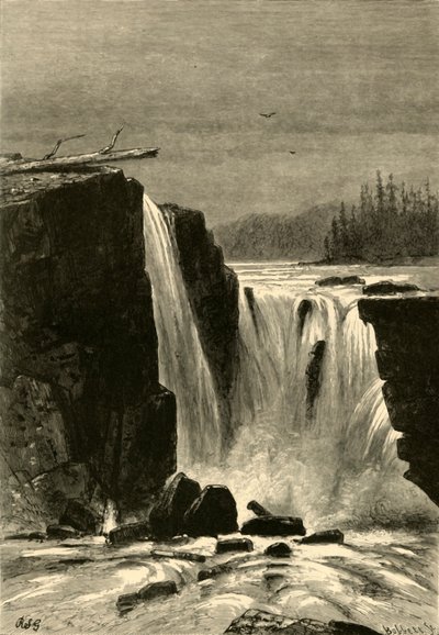 Lato meridionale delle cascate di Willamette da Albert Bobbett